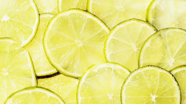 photos rondelles citron
